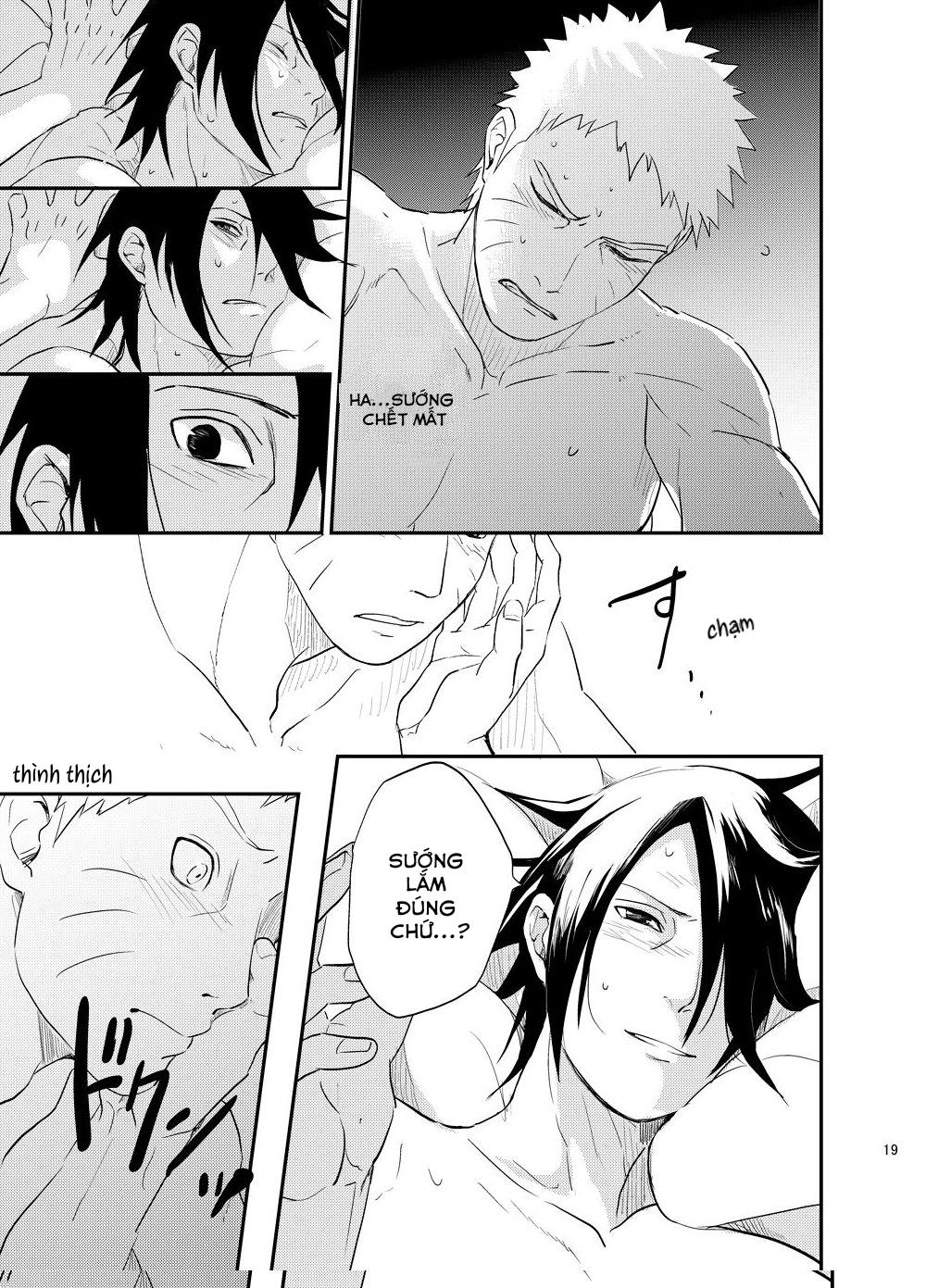 Trang 19